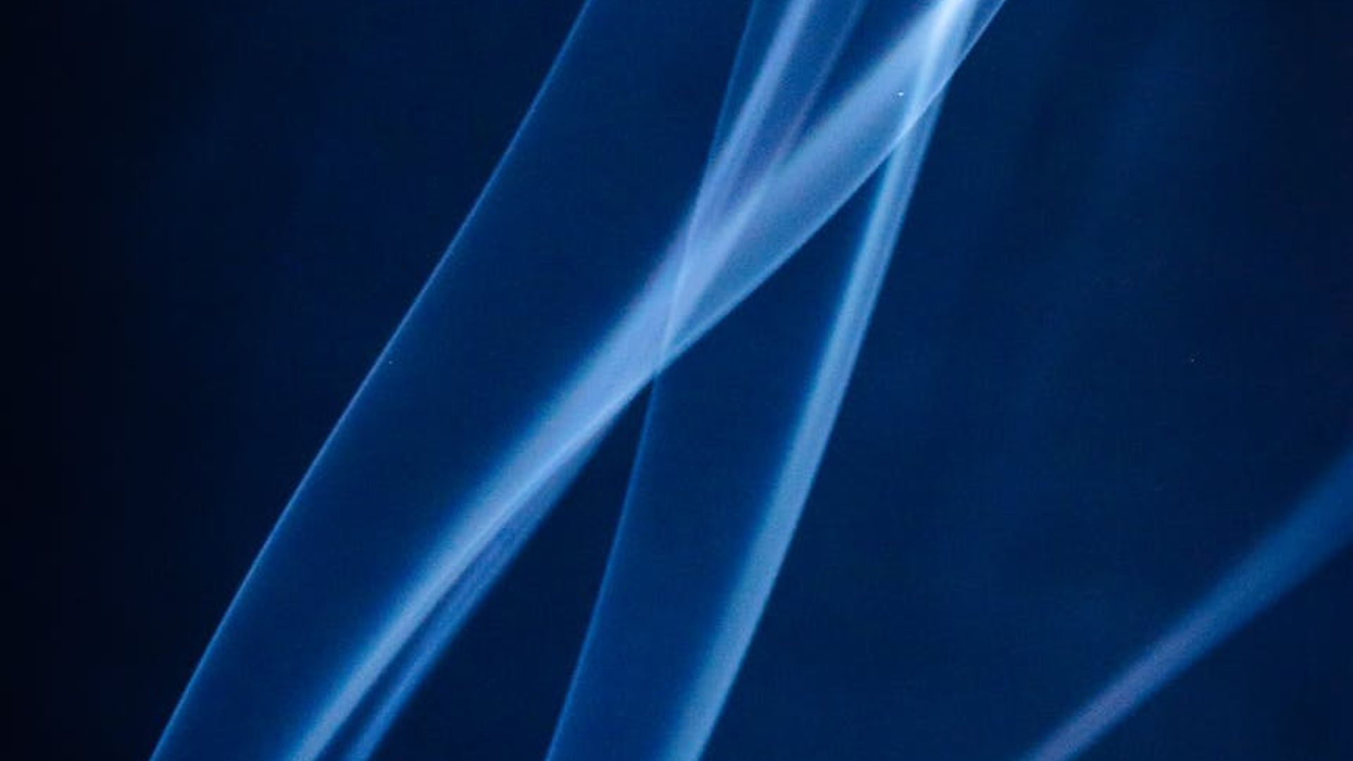 Abstract soft lines flowing in a calm background.